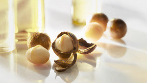 Dr. Hauschka Ingrédients de A â Z Dr. Hauschka Ingrédients de A â Z