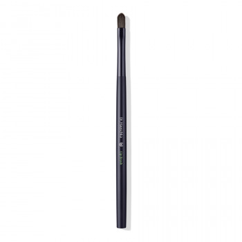 Lip Brush